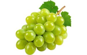 Indian Grapes
