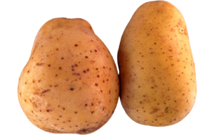 Potatoes