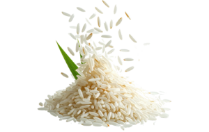 Indian Rice Brands